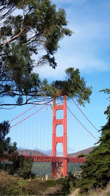 Golden Gate Bridge 3
